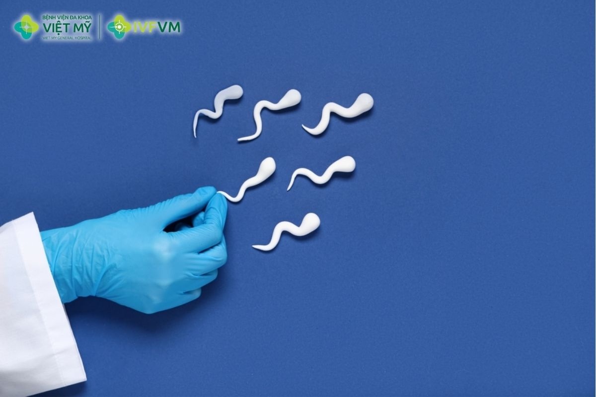 Điều trị và can thiệp lấy tinh trùng từ mào tinh, tinh hoàn khi chất lượng tinh trùng kém