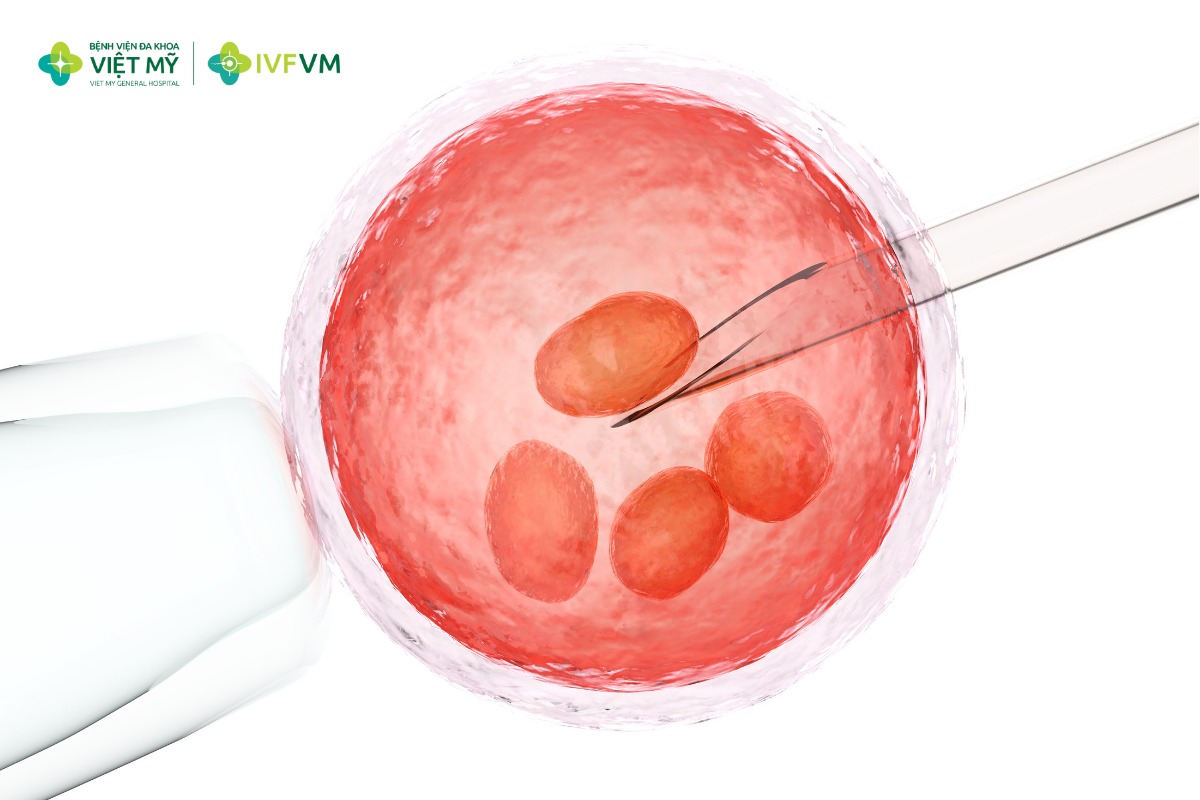 Quá trình phát triển từ nang noãn nguyên thủy đến nang trưởng thành không diễn ra trong đúng 90 ngày