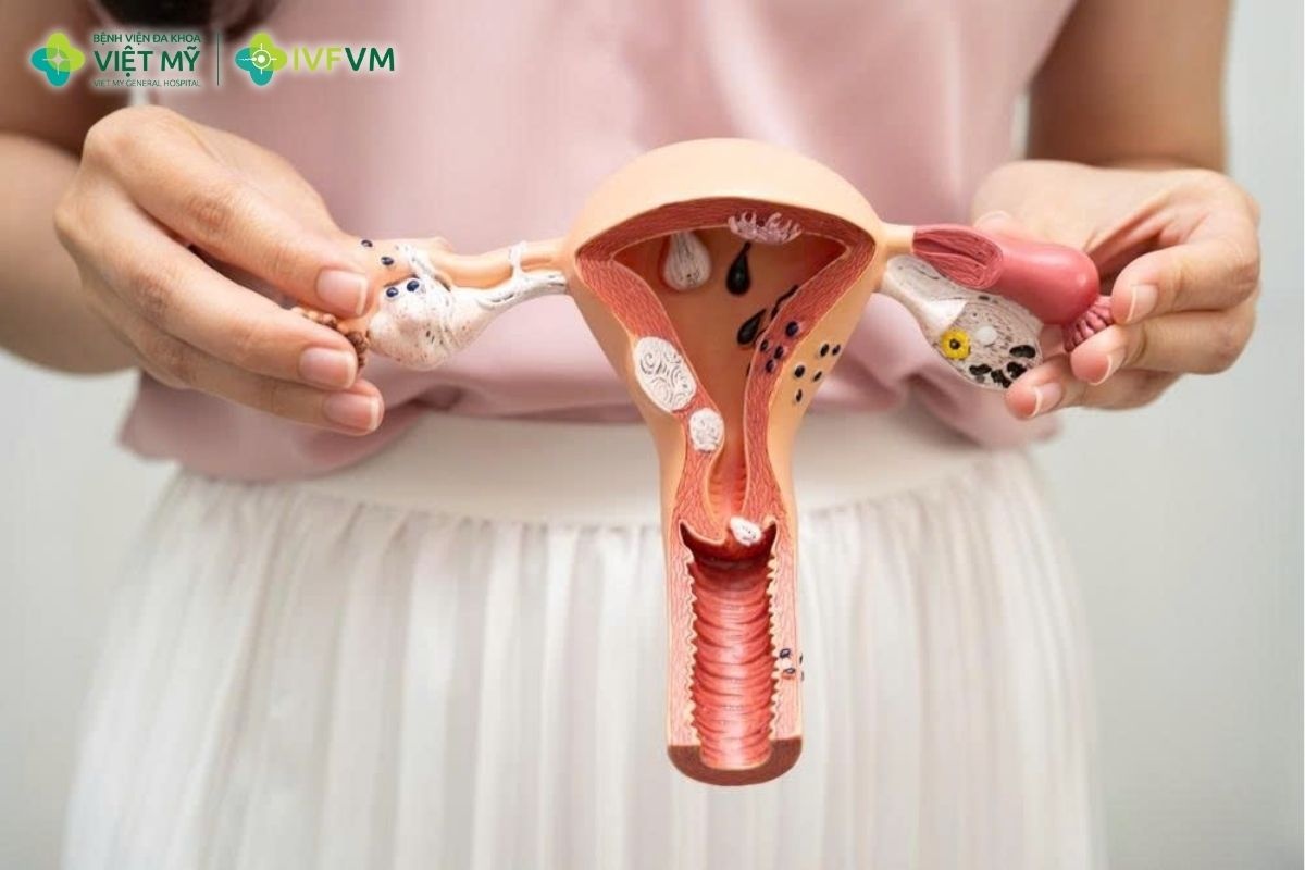 Sau chuyển phôi và trong thai kỳ sớm, progesterone góp phần ổn định môi trường tử cung và hỗ trợ thai phát triển